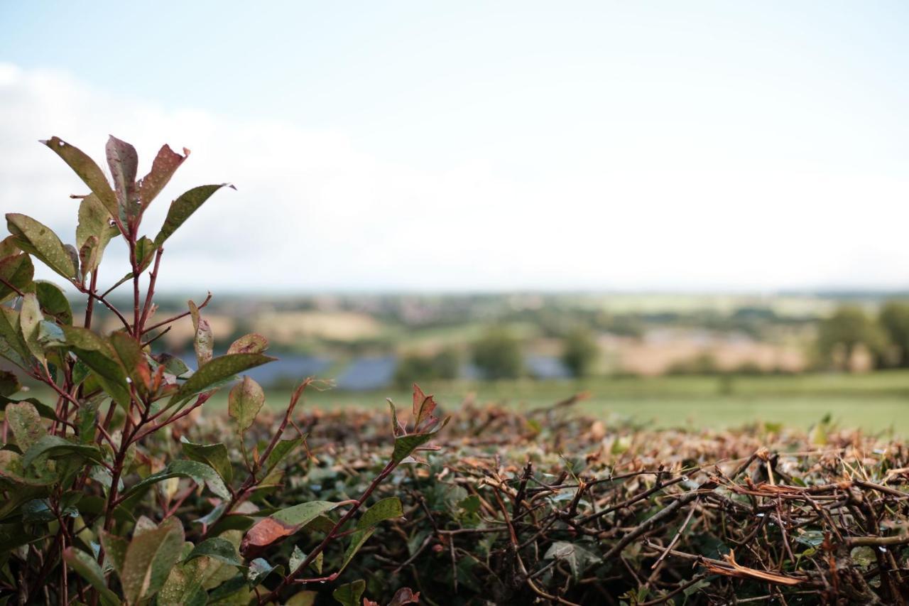 Drumnavaddy Cottage Dromore  ภายนอก รูปภาพ
